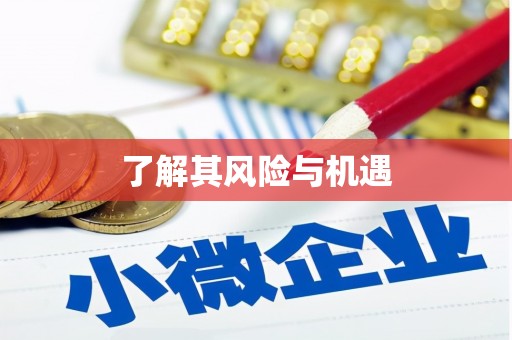 济宁了解其风险与机遇