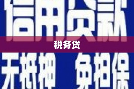 广灵税务贷